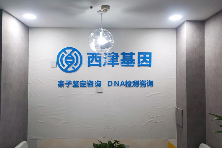 郑琪与她的公司 技术驱动下的多维耕耘